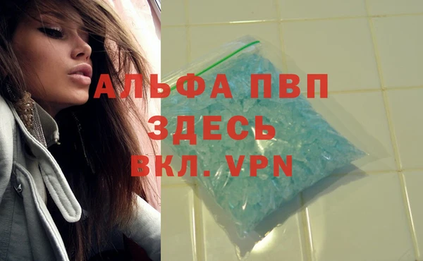 молекула духа Алексин