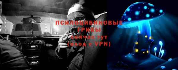 дурь Алзамай