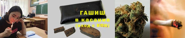 молекула духа Алексин
