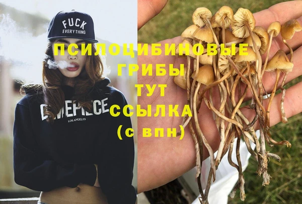 дурь Алзамай