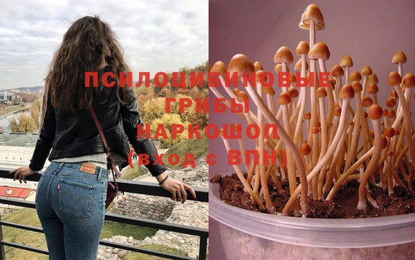 дурь Алзамай