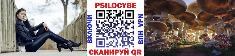 Галлюциногенные грибы Psilocybine cubensis  где купить наркоту  Цоци-Юрт 